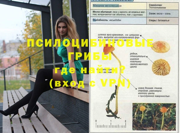 соль курить ск Алексин