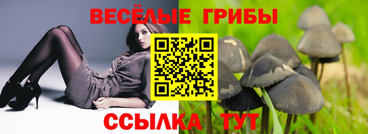 Псилоцибиновые грибы Magic Shrooms  Вход с VPN  Апрелевка  Псилоцибиновые грибы ЛСД 